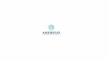 Anebulo Pharmaceuticals Reports Fourth Quarter and Fiscal Year 2024 Financial Results and Recent Updates - Yahoo Finance UK