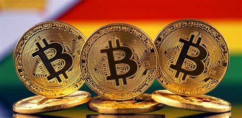 The government wants to understand crypto to regulate it, help them know what’s what - Technology Zimbabwe