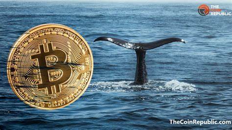 Bitcoin Whale Transactions Plunge by 33% Since March Peak - The Coin Republic