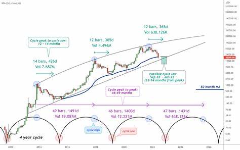 BTC Price is Still Tracking Previous Cycle Despite Price Drop, Tariff War: Van Straten - CoinDesk