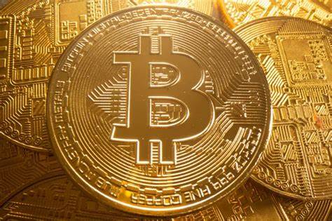 El Salvador Adds 11 Bitcoin to Its Reserves—Despite IMF Pressure to Back Off BTC