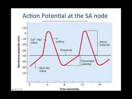 Uncovering Spectral ($SPEC): Unleashing the Potential of On-Chain AI Agents - PANews