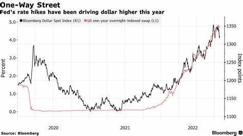 US Futures Rise With Nvidia Results in Focus: Markets Wrap - Bloomberg