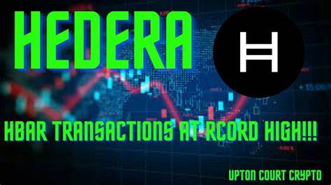 Hedera’s Transaction Volume Surges 10x in Q4 2024