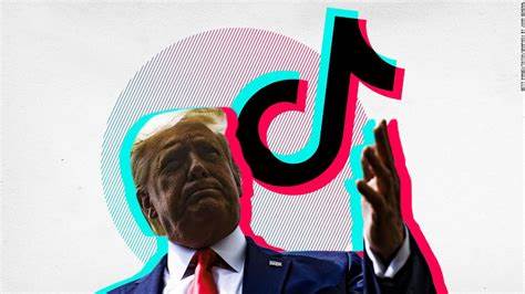 Trump orders creation of wealth fund, says it could own part of TikTok - Business Standard