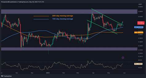 XRP's price at $0.56 - Here's the altcoin's roadmap to $0.84