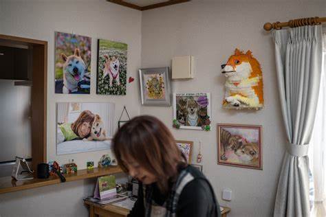 Kabosu: Shiba inu who inspired ‘doge’ internet meme and cryptocurrency dies aged 18 - The Independent