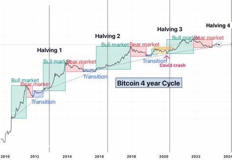 Bitcoin Could Cross $1M by Year-End if It Continues to Follow 2017 Cycle: Van Straten