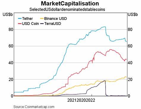 USD₮’s Monster 2024 Highlights The Importance Of Stablecoins
