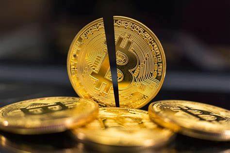 Power Play: How Bitcoin's Institutionalization is Reshaping Its Future