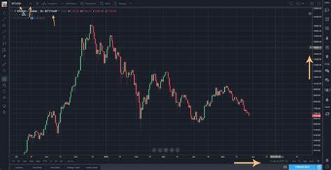 Bitcoin reserves interest gains momentum across 5 continents - TradingView
