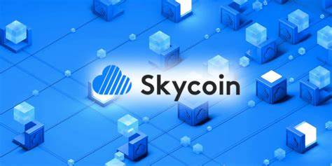 Skycoin (SKY): Meaning, Related Projects, and Concerns - Investopedia