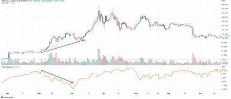 Crypto Market in a ‘Beautiful Early Bull Setup,’ Says Investor Chris Burniske – But There’s a Catch - The Daily Hodl
