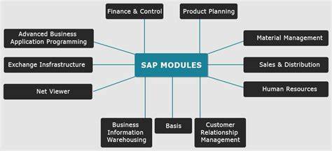 I will help you with anything you need on sap for develop, train or any consulting