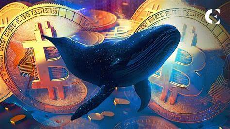 Bitcoin Whale Resurfaces After 11 Years After Its BTC’s Value Rose Over 15,000%