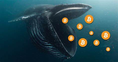 Bitcoin’s bottom slowly erodes as whale wallets increase by 3% - Cointelegraph