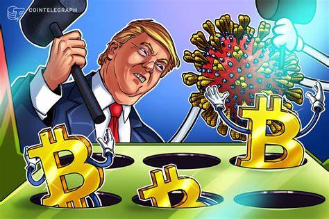 Bitcoin may rally regardless of whether Trump or Harris wins the election - MSN