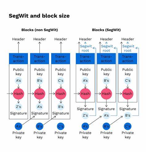 Segregated Witness (SegWit): Definition - Investopedia