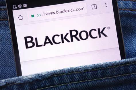 Clients have zero interest in crypto, BlackRock CEO says - InvestmentNews