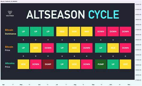 Analyst Predicts Altcoin Recovery Timeline and Expectations | Comms Trader - CommsTrader