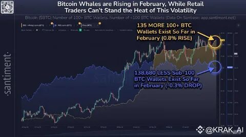 Year of Crypto IPOs? Bitwise Predicts 2025 Market Trends - Binance