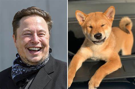 Buy 'Floki': A cryptocurrency inspired by Elon Musk's dog is making an ad push in London - Markets Insider