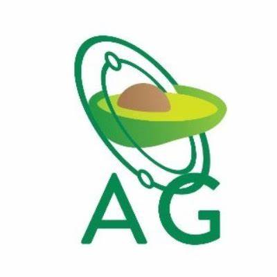 Avocado DAO Price: AVG Live Price Chart, Market Cap & News Today - CoinGecko Buzz