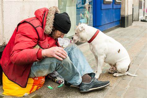 Anonymous donor helps protect dogs living with homeless Welland owners