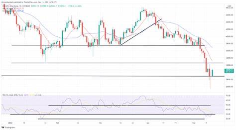 Crypto prices today: Fartcoin surges 30% as BTC and ETH lead market rebound