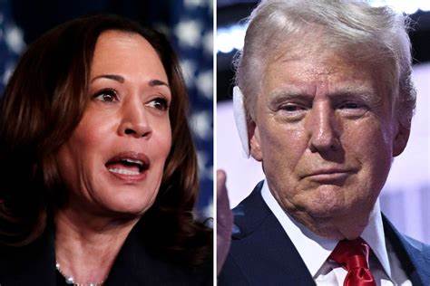 Donald Trump vs. Kamala Harris: Which Administration Would Likely Have a Bigger Impact on the Crypto Market?