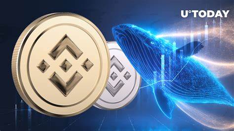 BNB Whales Pour Millions Into This $0.16 Utility Altcoin as Solana Faces Volatility