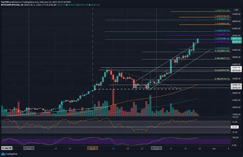 Bitcoin Surges to $58K Amid Wallet Activity Shifts: Are New All-Time Highs on the Horizon