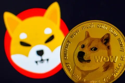 Trump-Inspired MAGA Coin Shines, Bitcoin Advocate Predicts Market Crash, 'Dogecoin Killer' Shiba Inu's Burn Rate Soars And More: Top Crypto Updates This Week - Benzinga