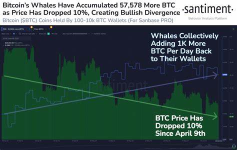 Bitcoin Whale Accumulation Surges, Key September Events to Watch - CoinGape