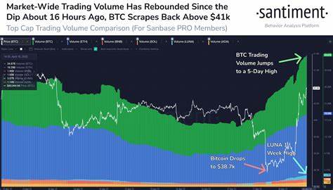 Is Cardano About To Break Out? Analytics Firm Says Traders Feel Confident About ADA - The Daily Hodl