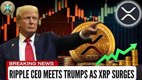 XRP Soars to New Heights! The Trump Effect on Cryptocurrencies is Real! - Bit Perfect Solutions