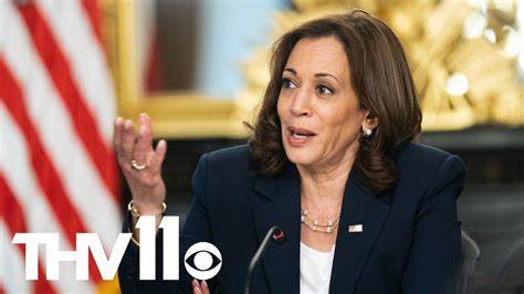 Kamala Harris vows to encourage AI and digital assets - CoinGeek