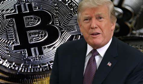 Trump’s trade war to trigger Bitcoin bull run: analyst