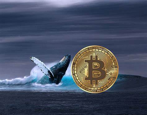 Bitcoin Whales Scoop Up $1 Billion Worth of BTC During Dip