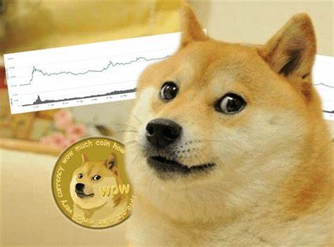 Kabosu, ‘happiest dog in the world’ who inspired cryptocurrency Dogecoin, dies – Here’s how internet reacted - The Financial Express