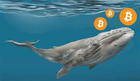 Bitcoin Whale Moves $3.5 Million Worth of BTC Mined One Month After Blockchain Launch - The Coin Republic