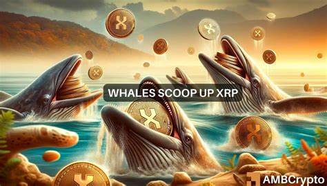 XRP’s $299M question: Are whales betting big on a rally? - AMBCrypto News