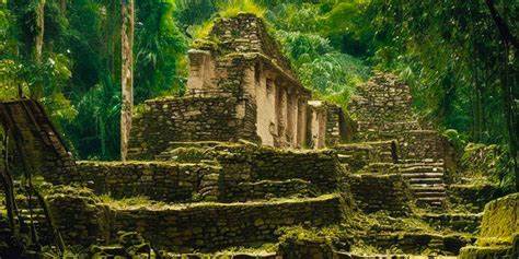 What happened to the Mayas?